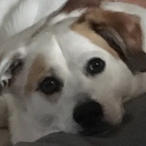 Meet your Posher, Charlotte a